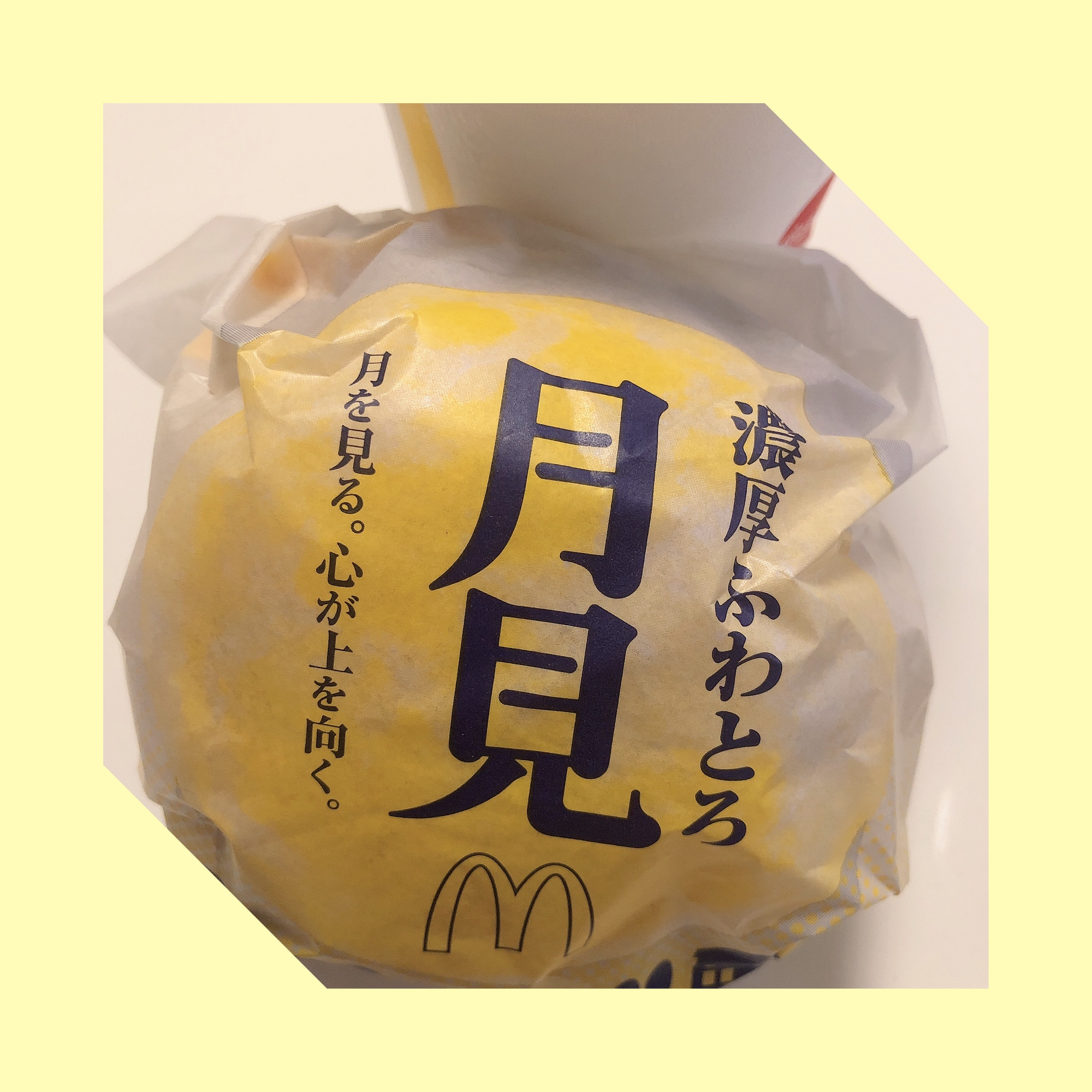 木内ねね(11/20復帰)