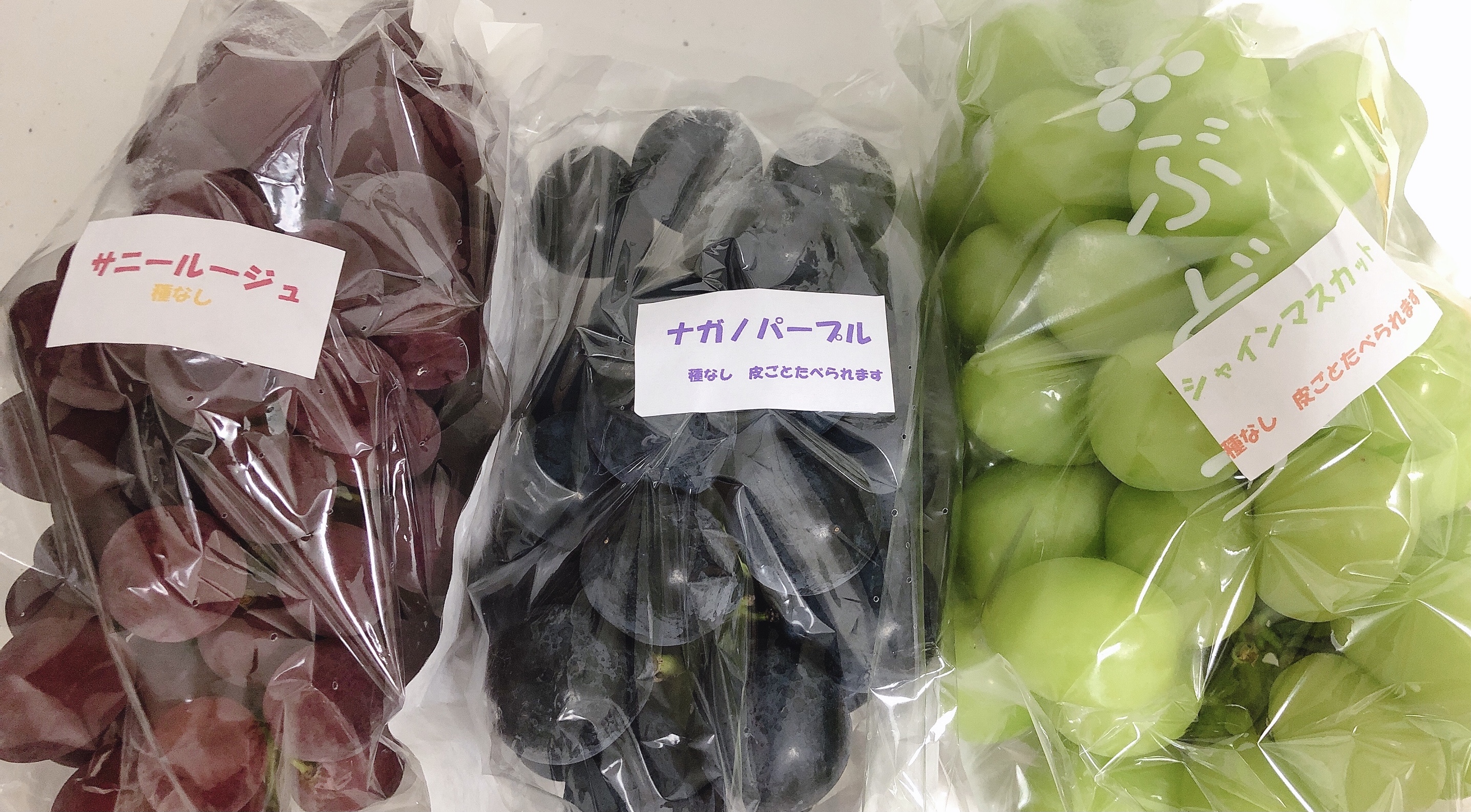 木内ねね(11/20復帰)