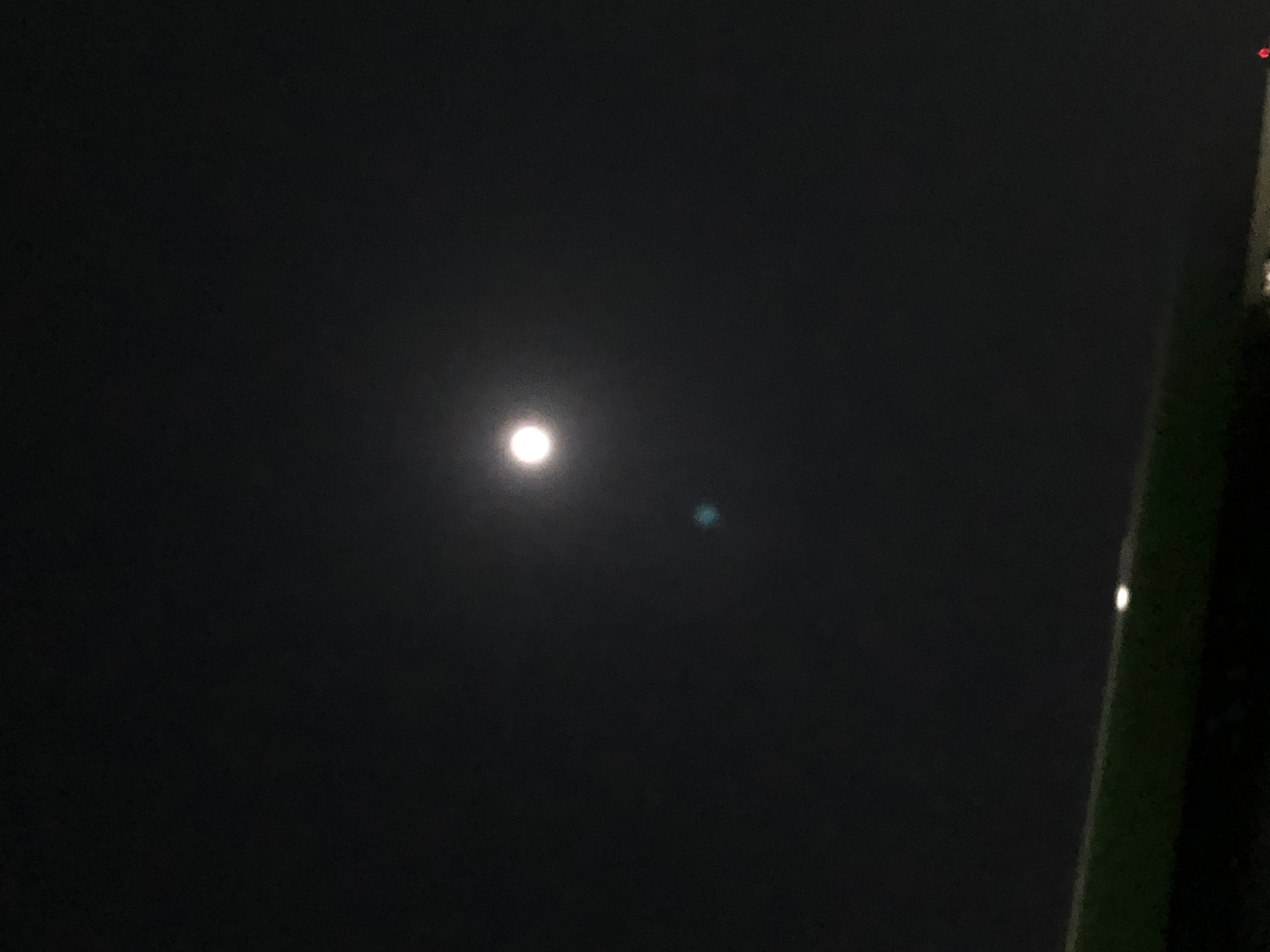 木内ねね(11/20復帰)