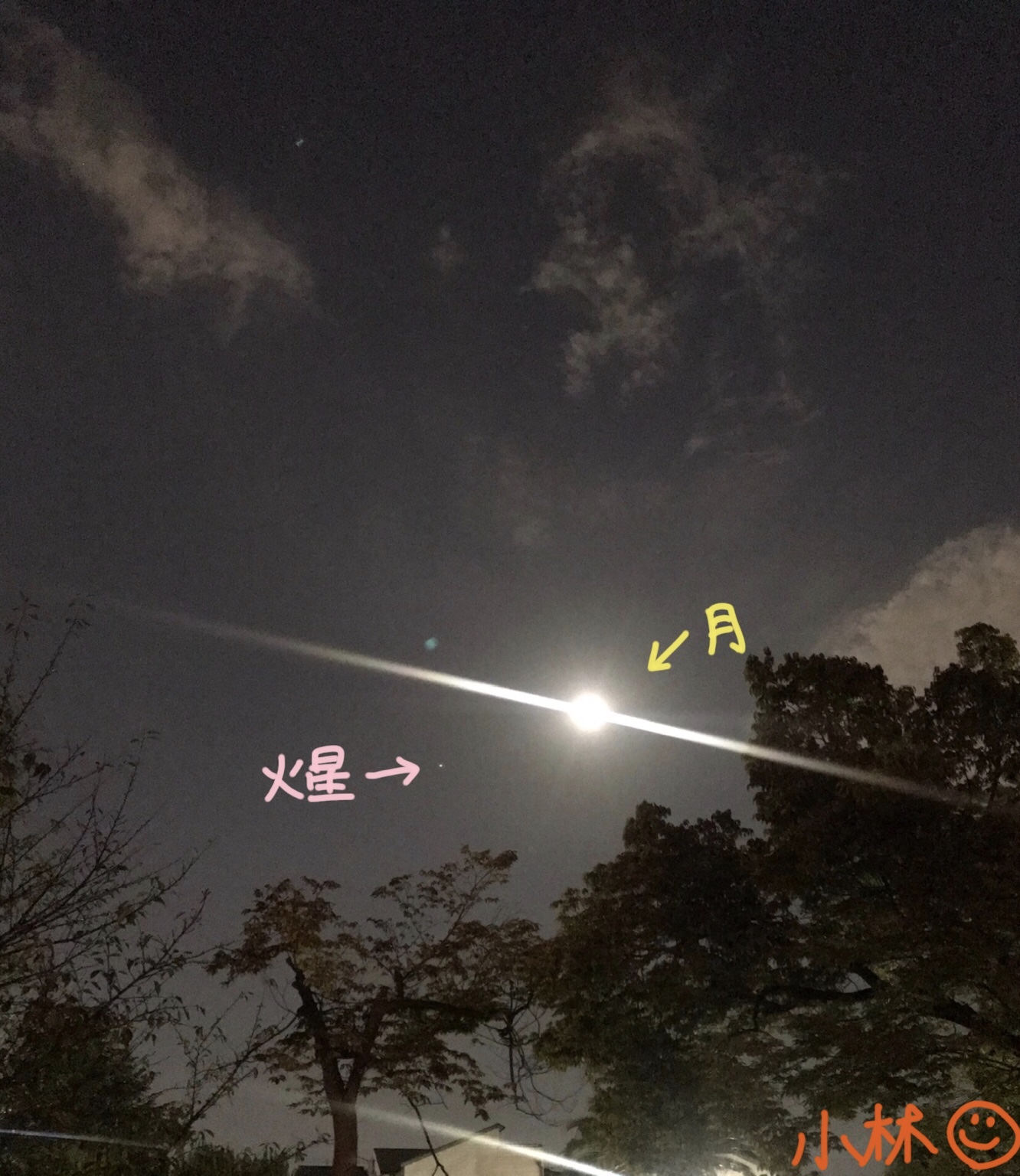 小林(2/24より大人のやすらぎSPAへ移籍)