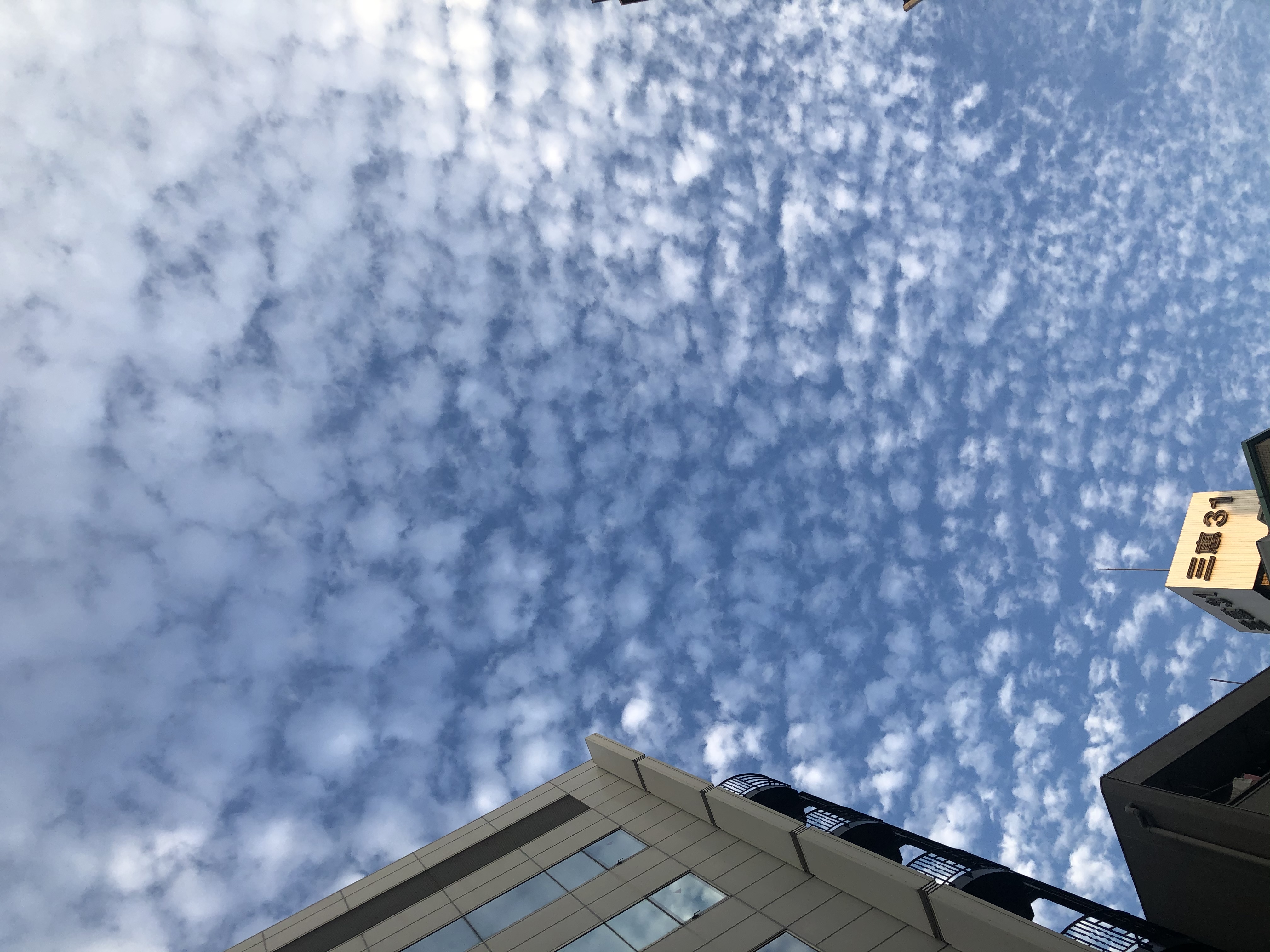 木内ねね(11/20復帰)