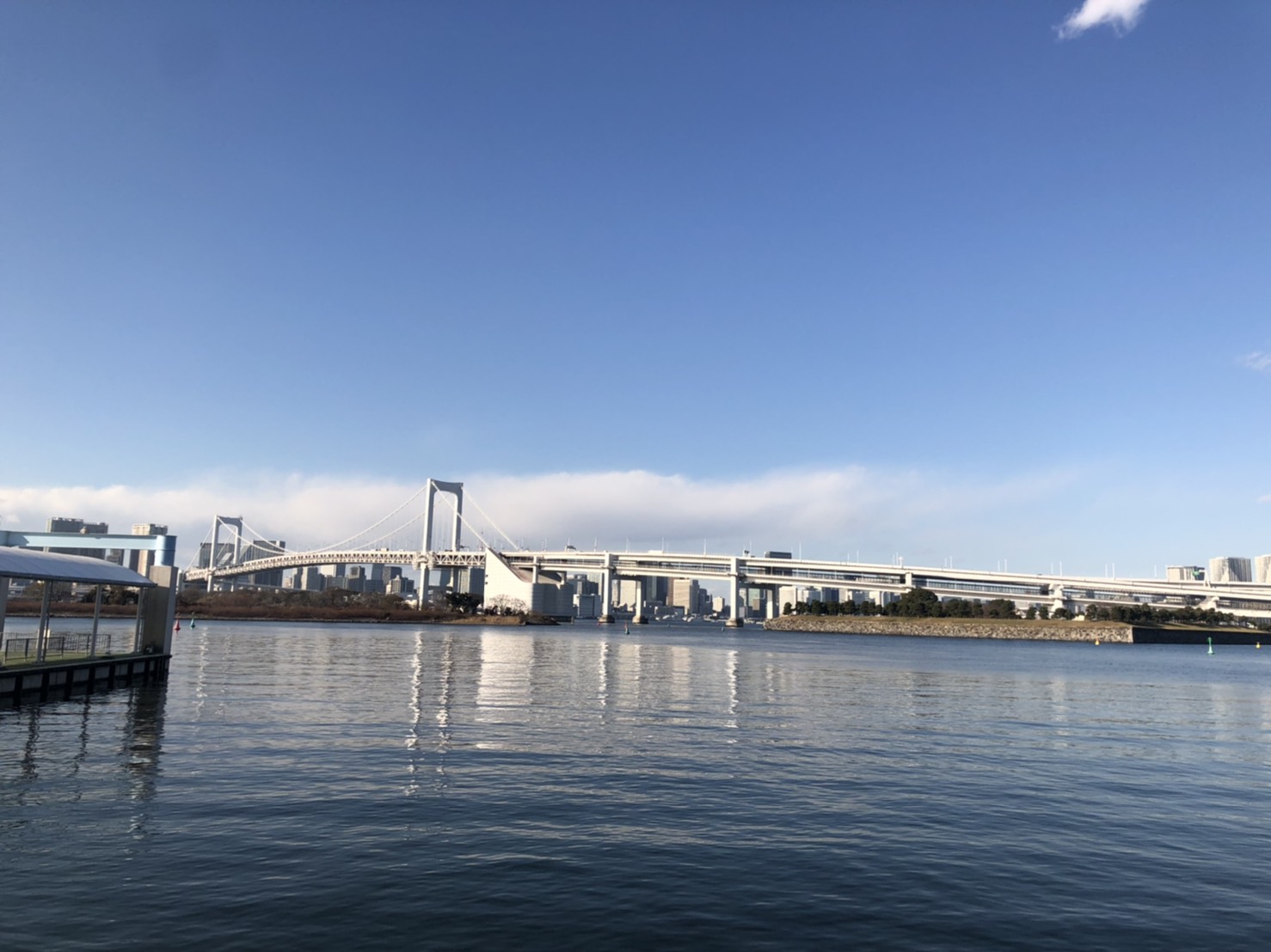 木内ねね(11/20復帰)