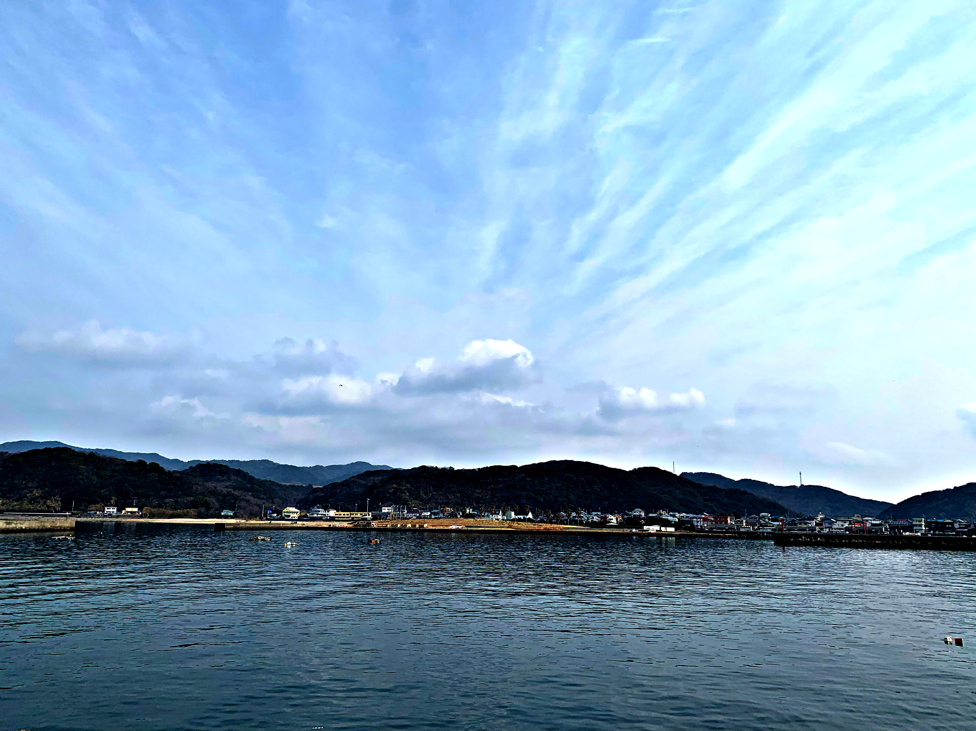 望月まこ