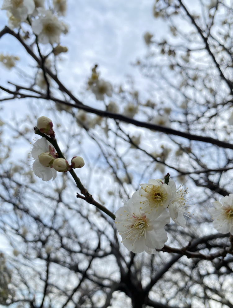 水川えりか