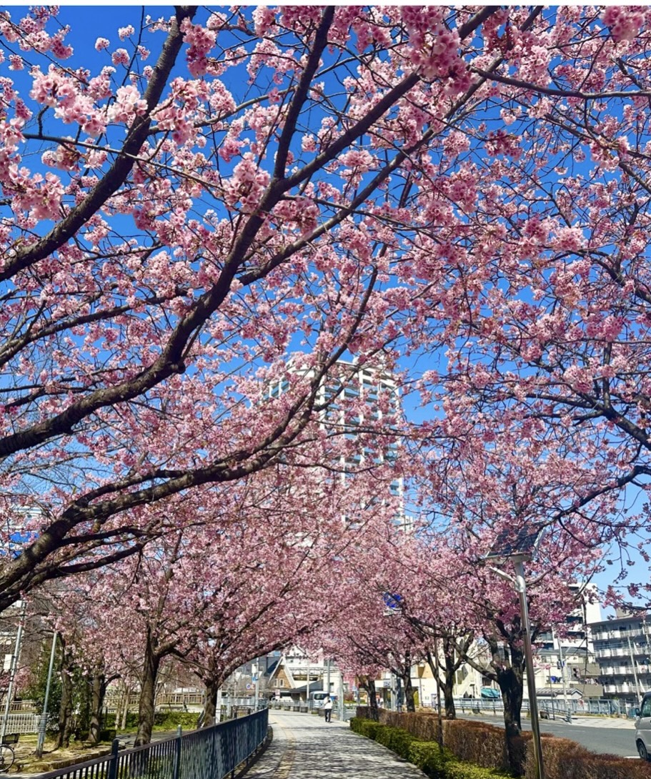 瀬戸かおる