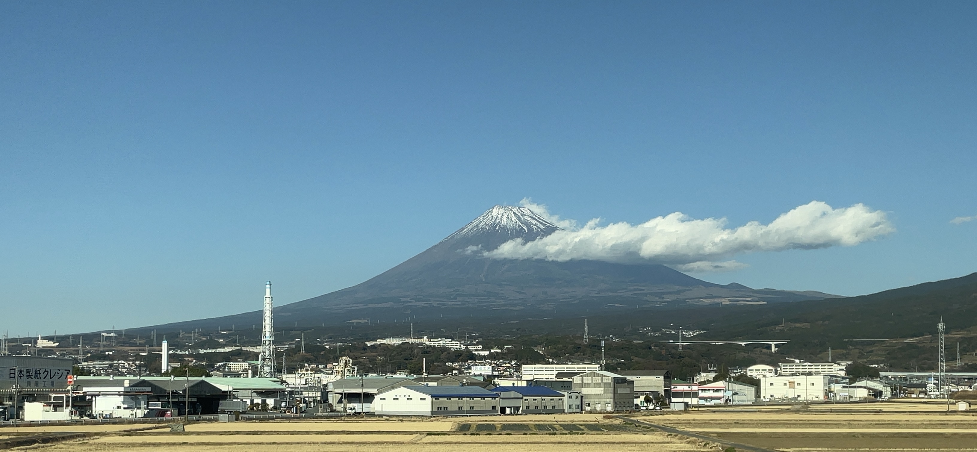 大和なつめ