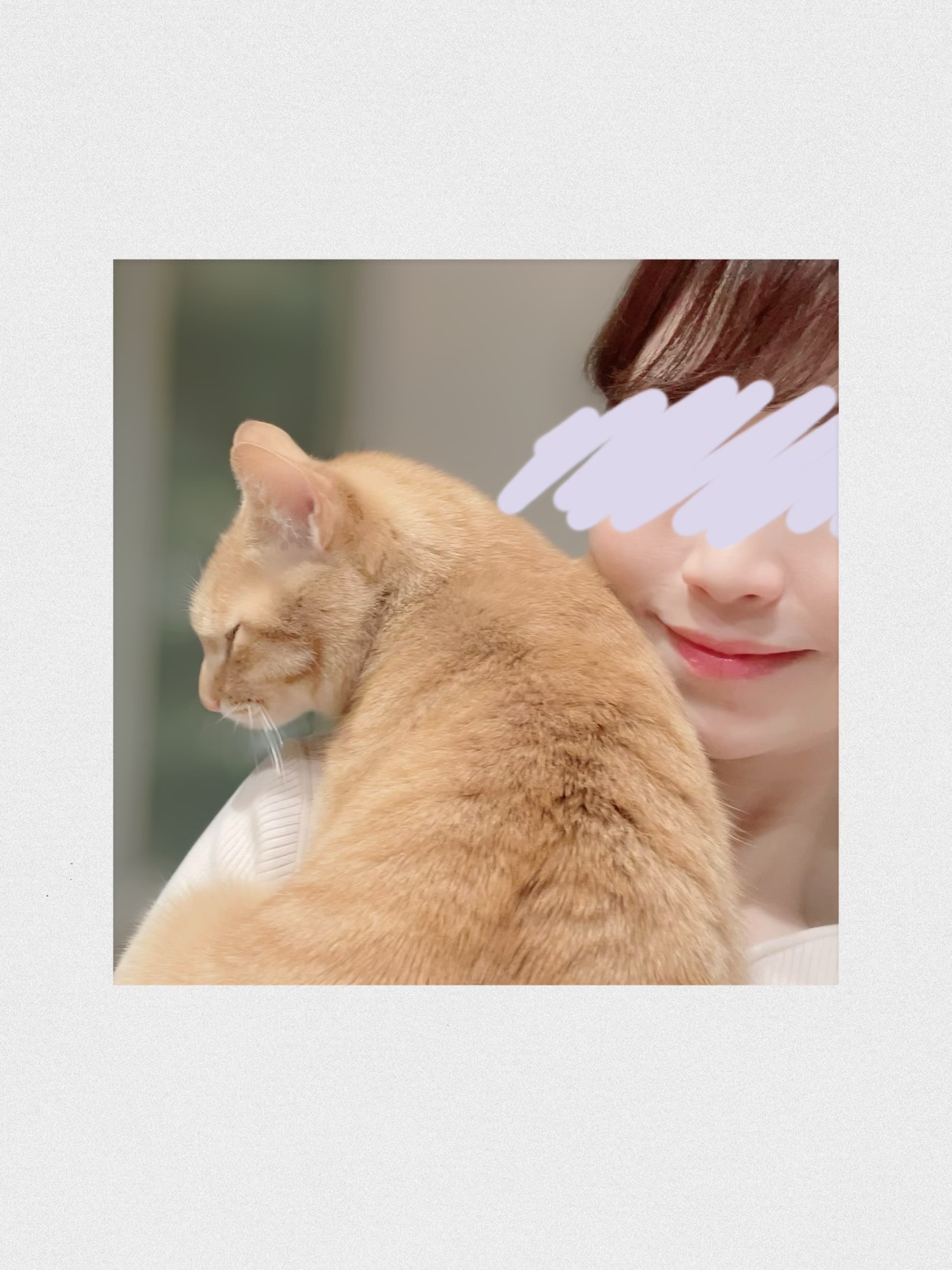 相原ねね