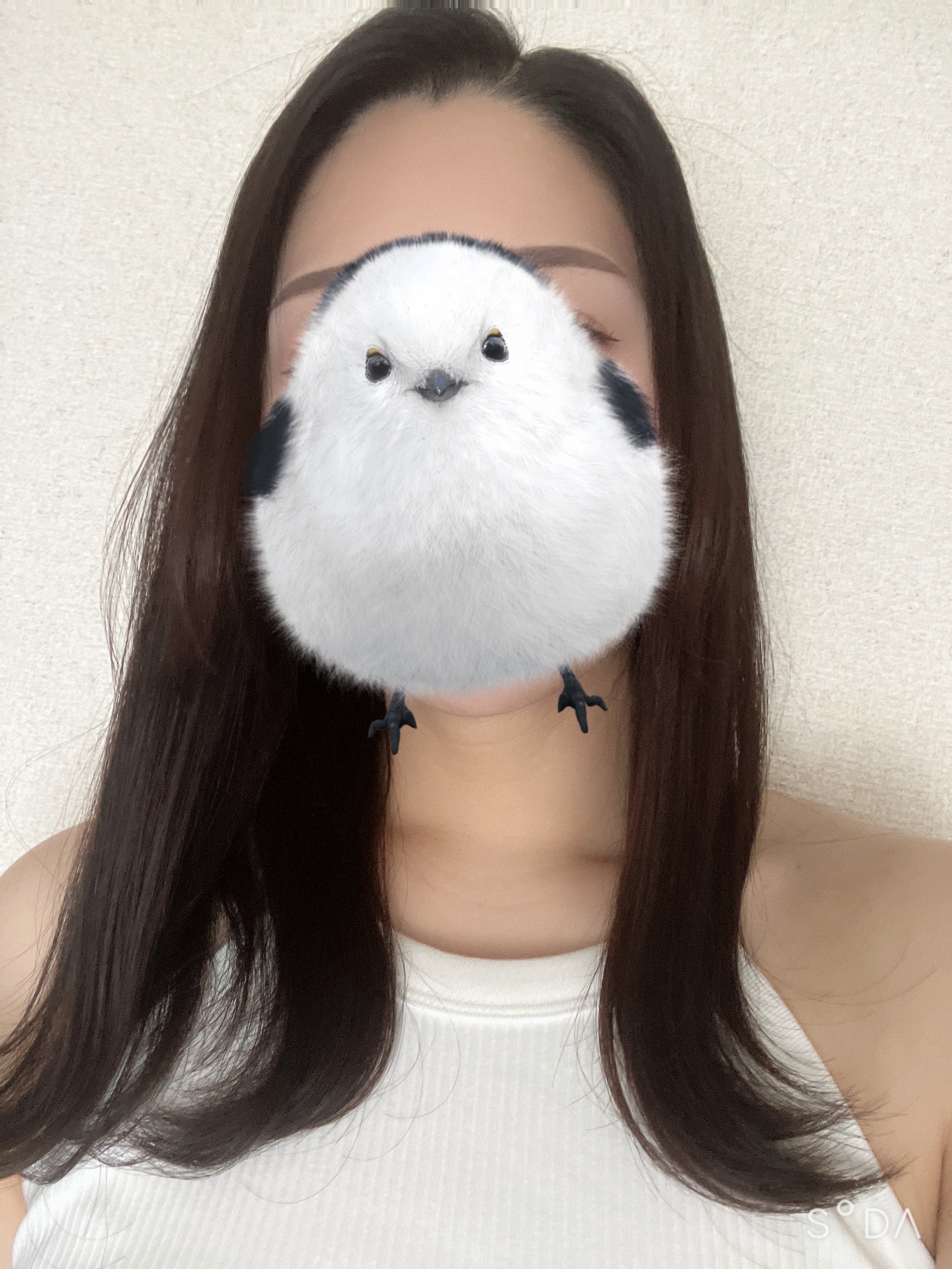 田村りさ