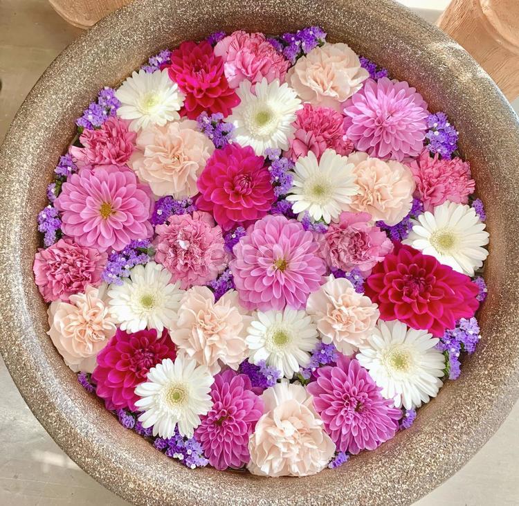 高垣まほ(2/8デビュー予定)