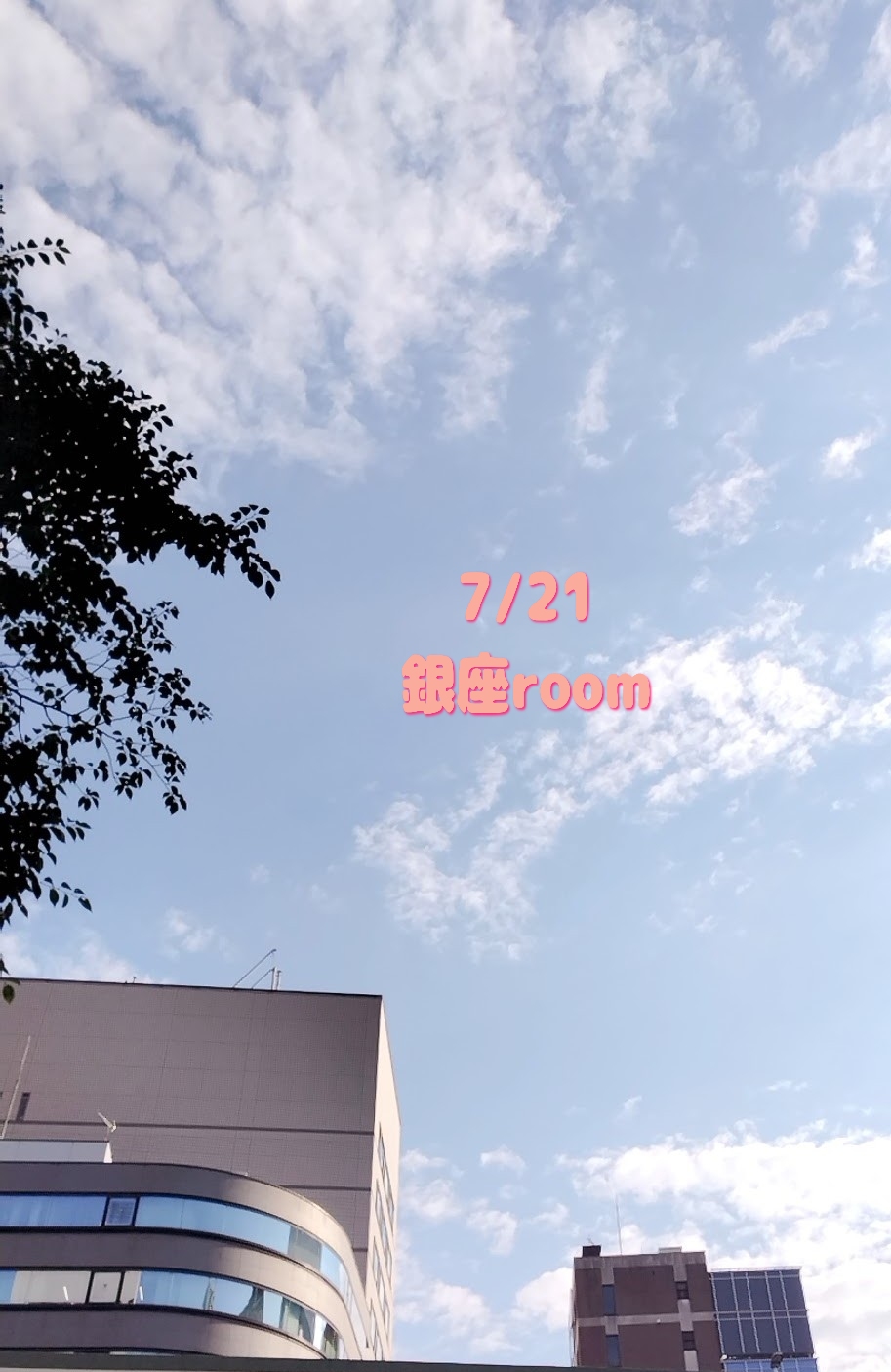 藤井まき