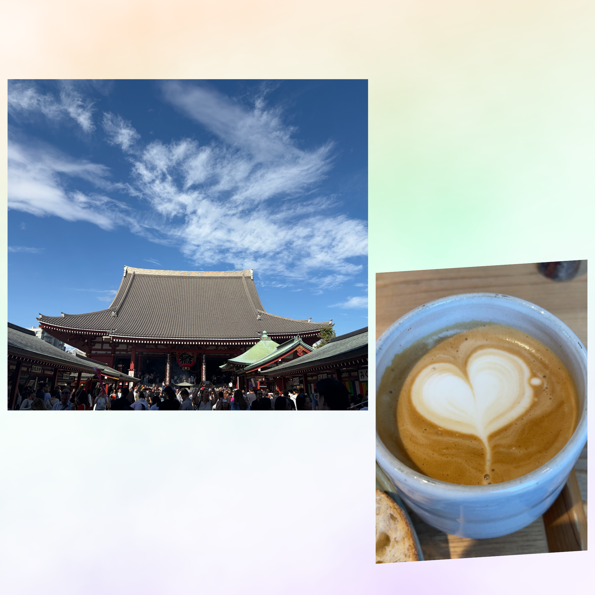大和なつめ