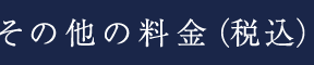 その他の料金（税込）